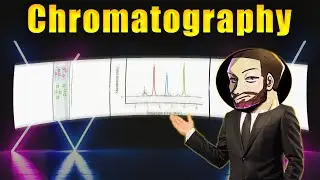 The Science Of Chromatography