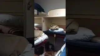 ЕДУ НА ПОЕЗДЕ, В ПЛАЦКАРТЕ, В МОСКВУ