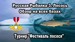 РР3. Лосось. Обзор на всех базах. Турнир 