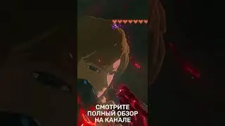 The Legend of Zelda Tears of the Kingdom Shorts обзор