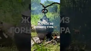 Жаркое из дичи
