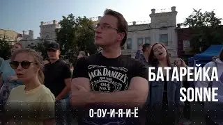 Жуки - 