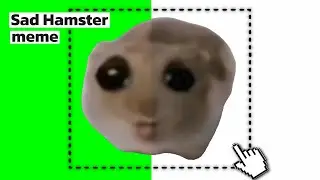 Sad Hamster x Cotton Eye Joe