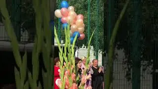 Дорога добра