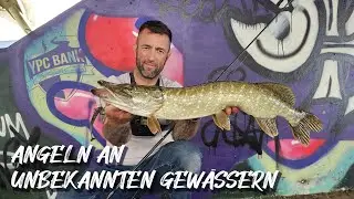 YPC | JOHN CHOWNS | ANGELN auf ZANDER | HECHT und BARSCH am Kanal  (LIVEBISSE)