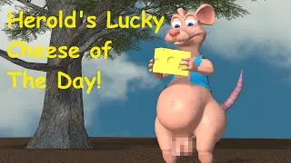 Herold finds lucky cheese of the day!