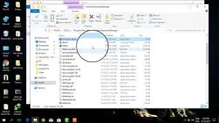 Internet Download Manager 6.29 Build 2 - latest crack idm 2017  [100% working]
