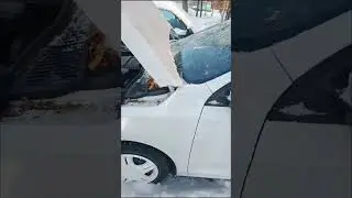 Расмга ол расмга