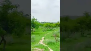 My Village way #villagelife #village #shorts