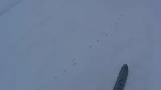 Hare hunting 2020-2021 on a snowmobile)))