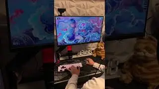 my daily osu! routine... 