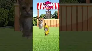 359809147 965290158113793 3837547960391899184 #shortvideo #shortsfeed #shorts