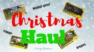 Breyer Christmas Haul// 2017