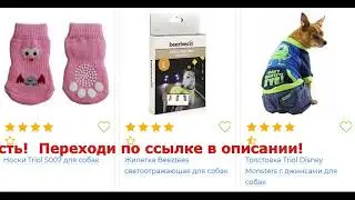 собака обувь