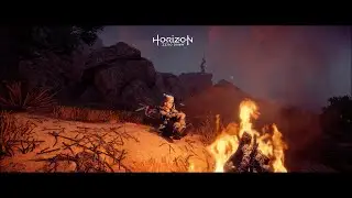 Gutenmorgen und schönen Feiertag  #horizonzerodawn