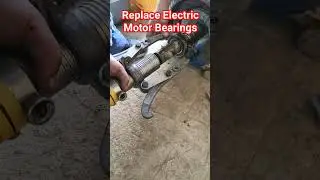 Replace Electric Motor Bearings