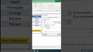 Excel Data Validation 