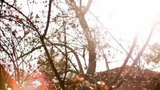Stopmotion Bokeh