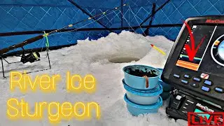 Frozen River Fishing For GIANTS! (Solo Sketchy)