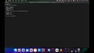 NPM: Change Default Settin In Json File