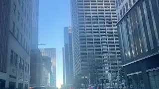 Dondii- Back & Forth (Visualizer)