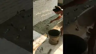 #Floor Tile Fitting Work