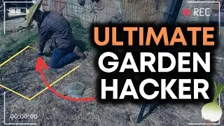 How to Save Space and Maximize Onion Production?