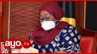 RAIS SAMIA AFANYA UTEUZI MWINGINE, JAJI CHANDE APELEKWA ARDHI, PROF.ELISANTE ARUDISHWA MAHAKAMANI