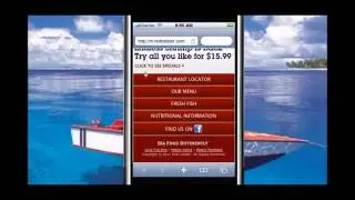 Regular Website VS Mobile Optimized Website