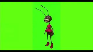 ANT #14  || GREEN SCREEN || 4k || ANIMATION  || FREE 3D