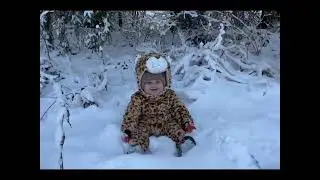Леопарды в зимнем лесу
