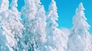 Погрузись В Видео. Расслабся. Покайфу. Это Шоок.