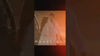 Halil & Zeynep - Stereo Love #rüzgarlıtepe #windsoflove #gökberkyıldırım #cemrearda #zeyhal