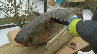 Толстолобик холодного копчения стейками.
