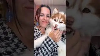 Игрушка ещё не дошита, но он уже такой невероятный 😍 Согласны?)
