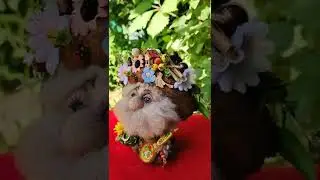 30 июня 2022 г.