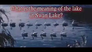 What is the meaning of the lake in Swan Lake?