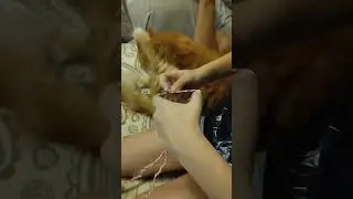 Передаю свой опыт.