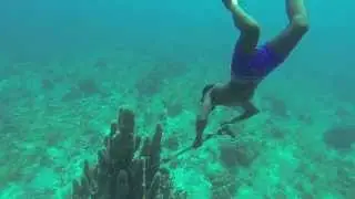 A professional spearfisherman at work in Negril, Jamaica