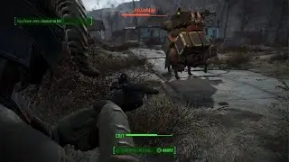 Mysterious stranger shoots a cow into docility