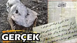 10 RECORDED VAN LAKE MONSTERS Are they real?