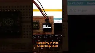 Raspberry Pi Pico & SSD1306
