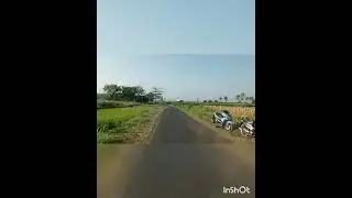 Panen Madu Apis melly fera, nektar sono keling - Bondowoso