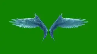 Green Screen Angel Flapping