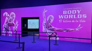 Negocio inhumano: cuerpos humanos.