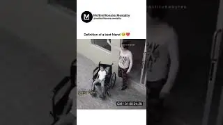 Watch still the end 💔 #video#sad#viral#trending