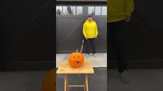 Pumpkin Never Saw It Coming! #shorts