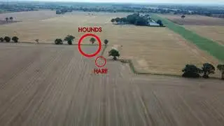 Our drone caught the Dunston Harriers hunting a hare // Dunston Harriers, 14/09/2021