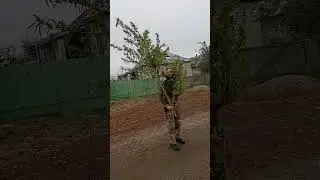 нашли поле конопли