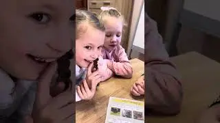 Тваринний світ Азії